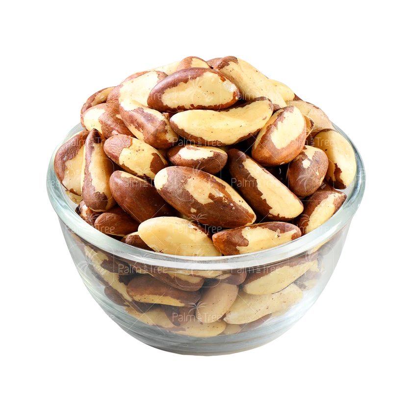 Brazil Nut